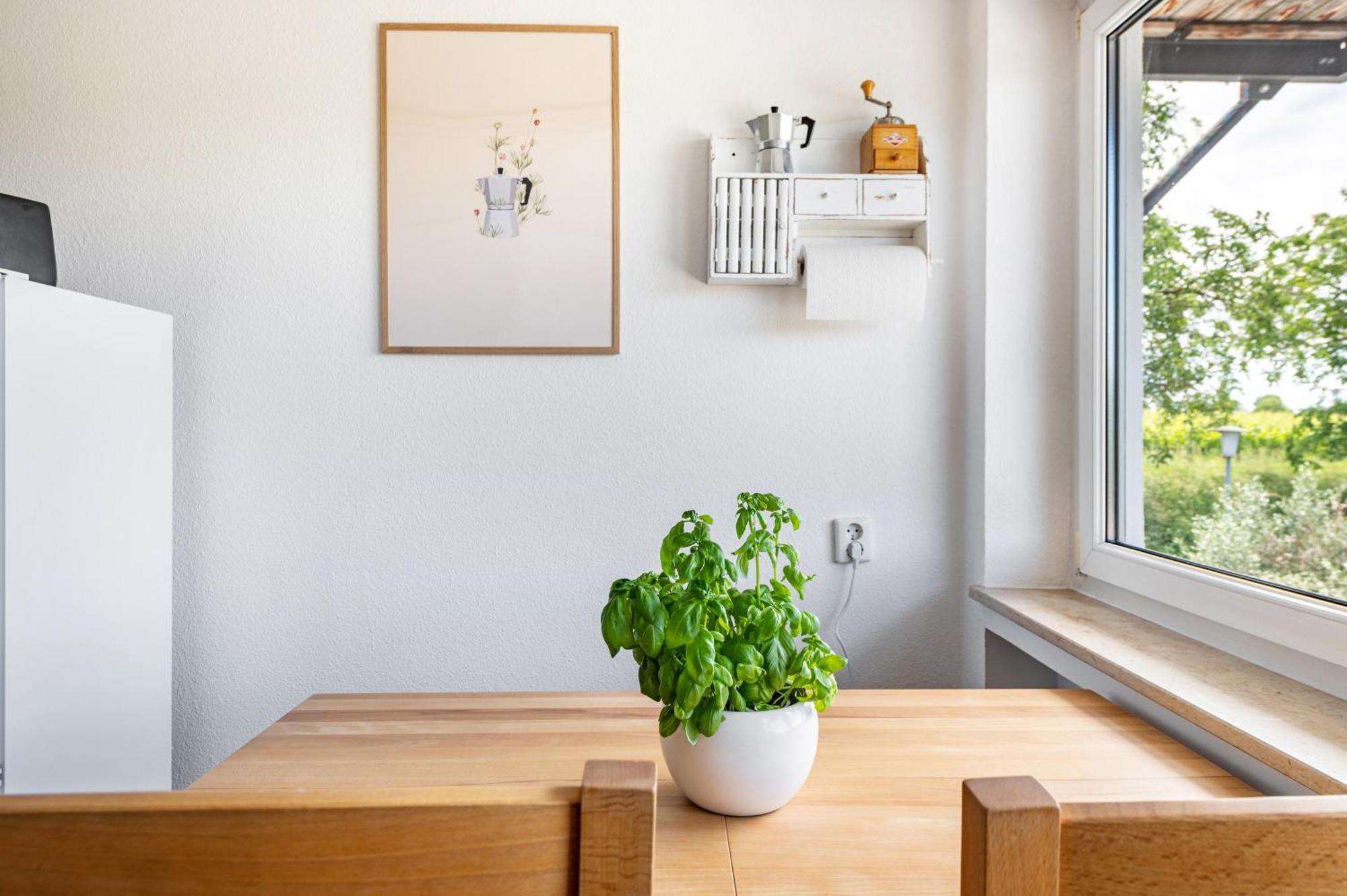 Ferienwohnung In Den Bachteln Sulzburg Kültér fotó